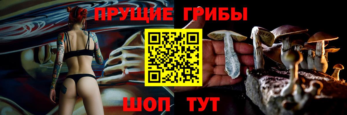 Псилоцибиновые грибы Psilocybe Петропавловск-Камчатский